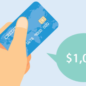 Credit Card Companies Offer Credit Limits up to $950.